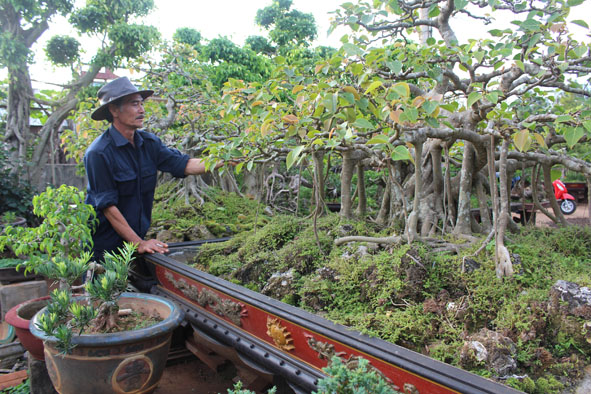 Nghệ nhân Phi Hùng chăm sóc cây cảnh trong vườn nhà.